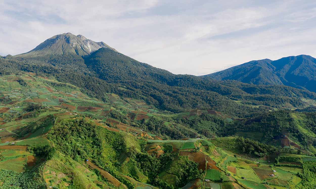 Ube Latte: alles über das trendige violette Getrank, seine Vorteile und einfache Rezepte